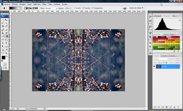 Creation of Wild Tree: Step 4